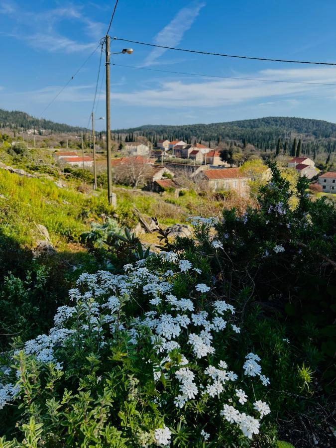 Country House Bakicevo Cilipi Luaran gambar