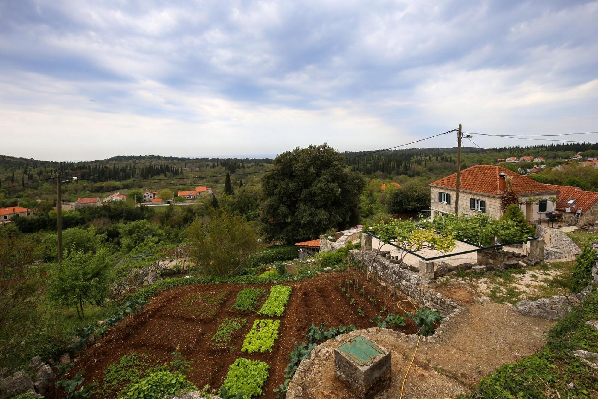 Country House Bakicevo Cilipi Luaran gambar